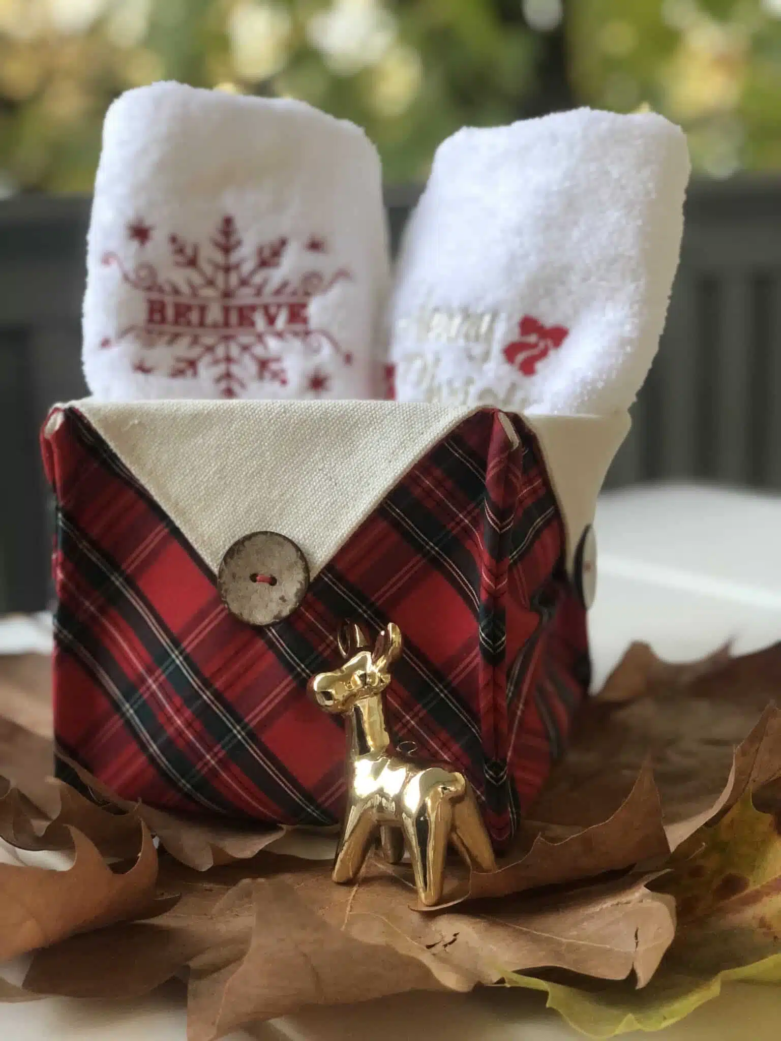 Christmas set 2 IMG 4960 scaled