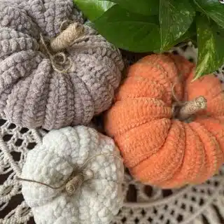 Set of decorative pumpkins