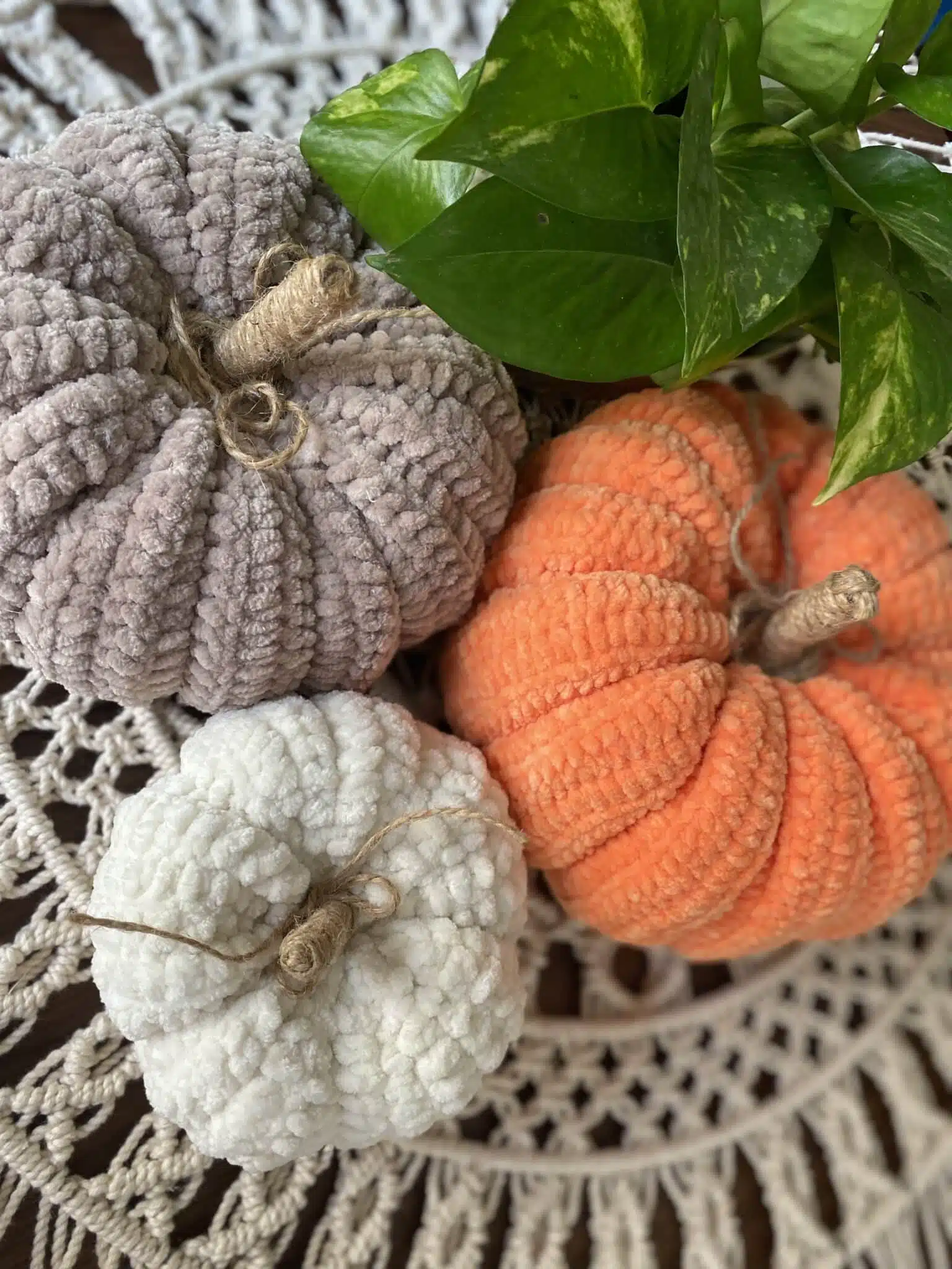 Set of decorative pumpkins 1 Set of decorative pumpkins