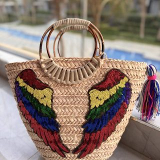 Colorful wings bag
