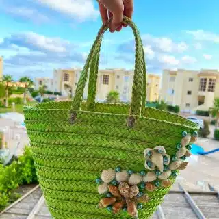 Seashell green bag