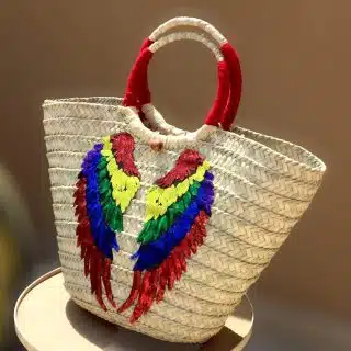 Rainbow wings bag