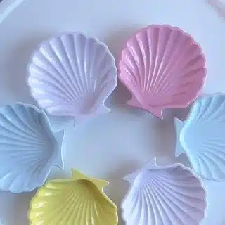 Sea shell