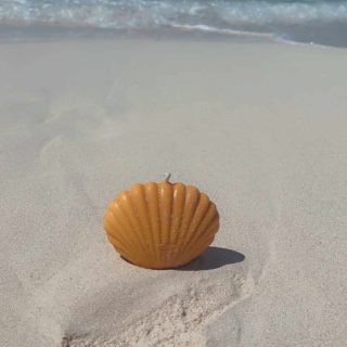 Seashell