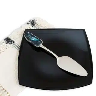 Black & turquoise cake serving shovel