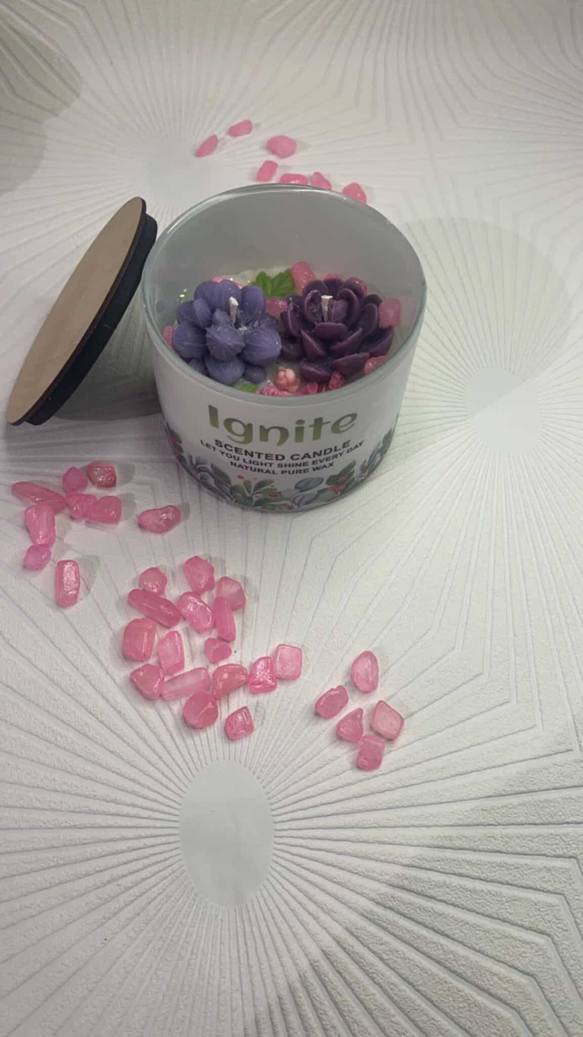 Snow cactus 3 IMG 9711 scaled