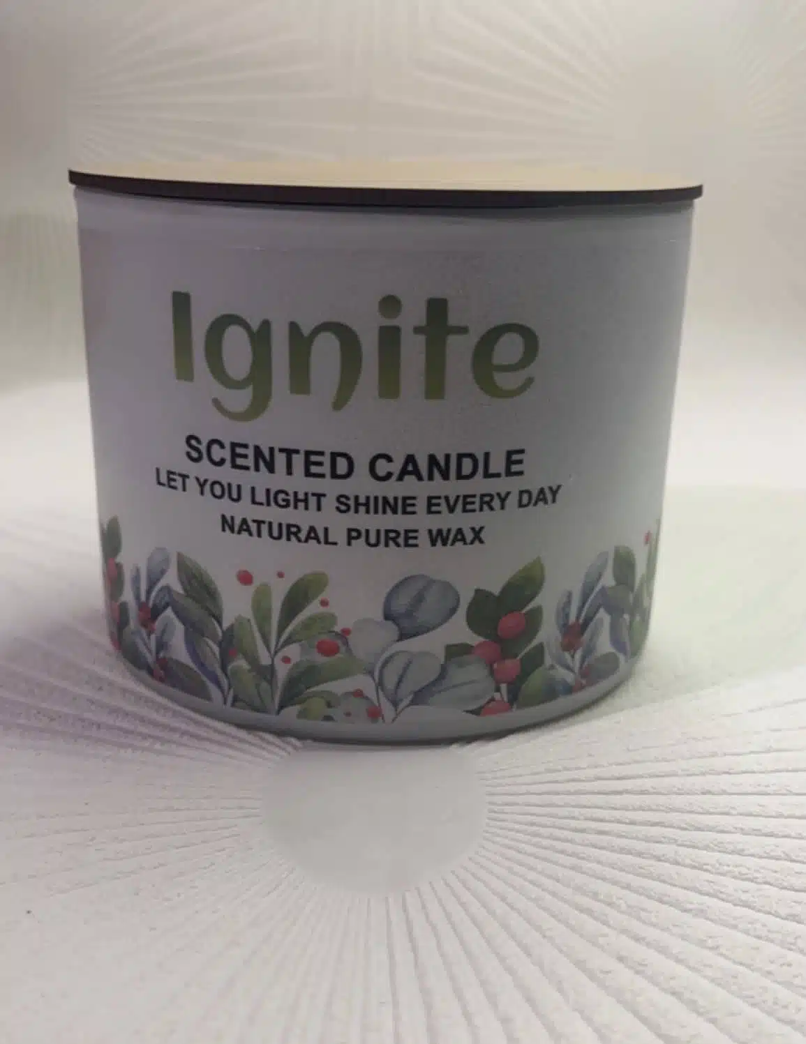 Snow cactus 4 IMG 9712