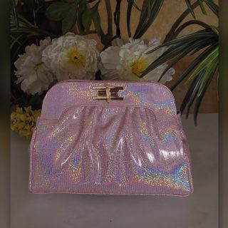 Mini sophie clutch