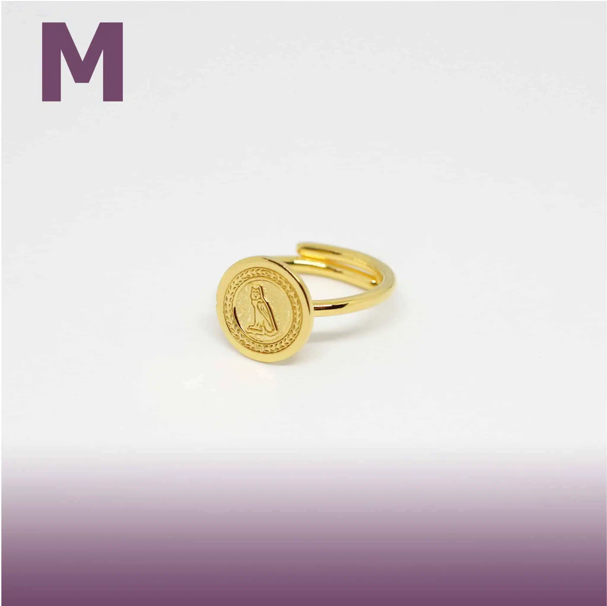 حرف هيروغليفي - M 1 حرف هيروغليفي - M