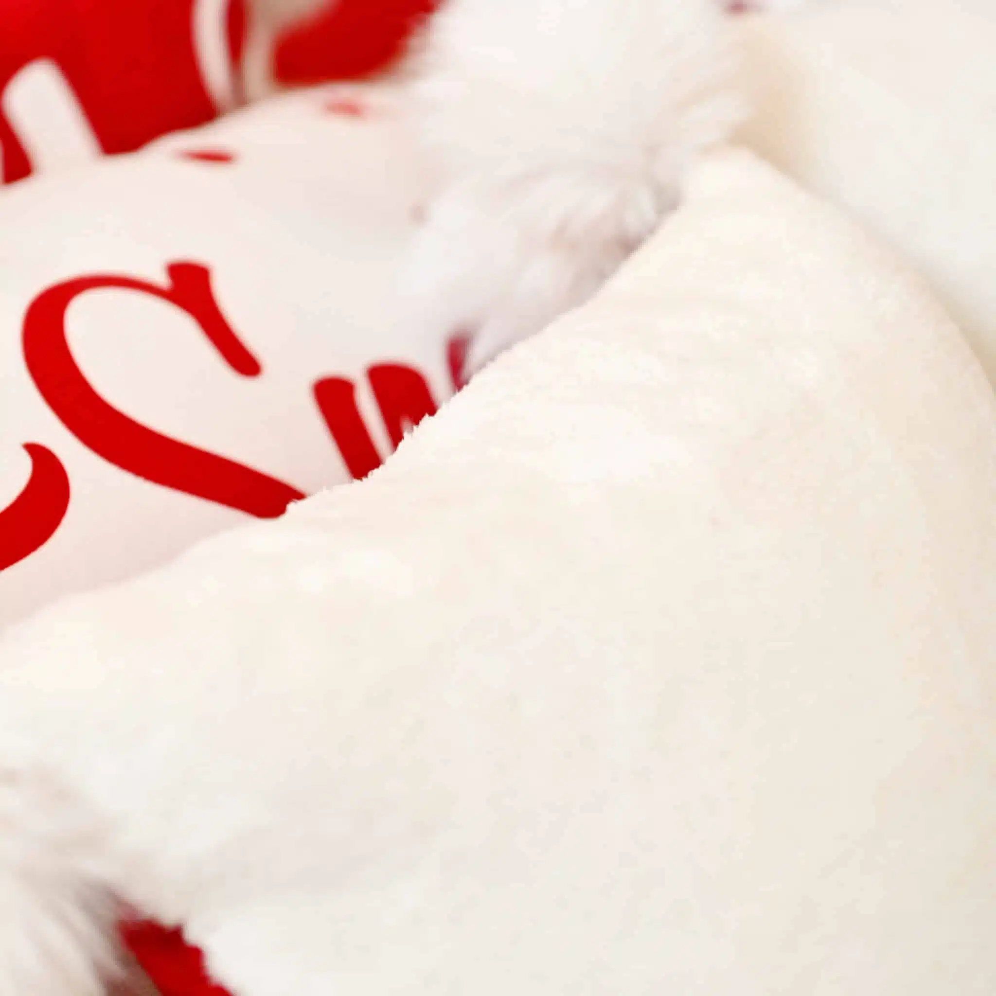 Cushion Noel 3 MAS 0460 scaled