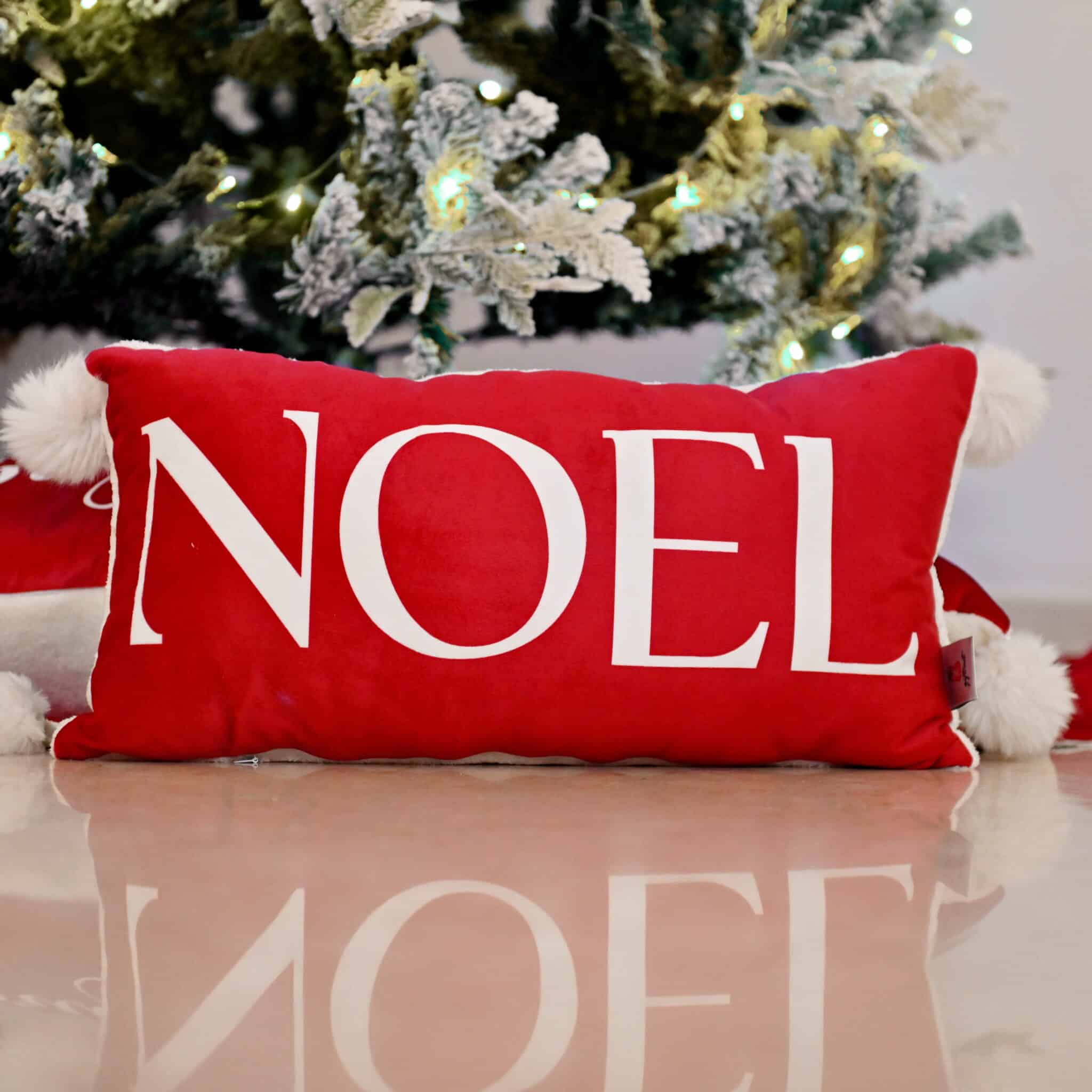 Cushion Noel 2 MAS 0493 scaled