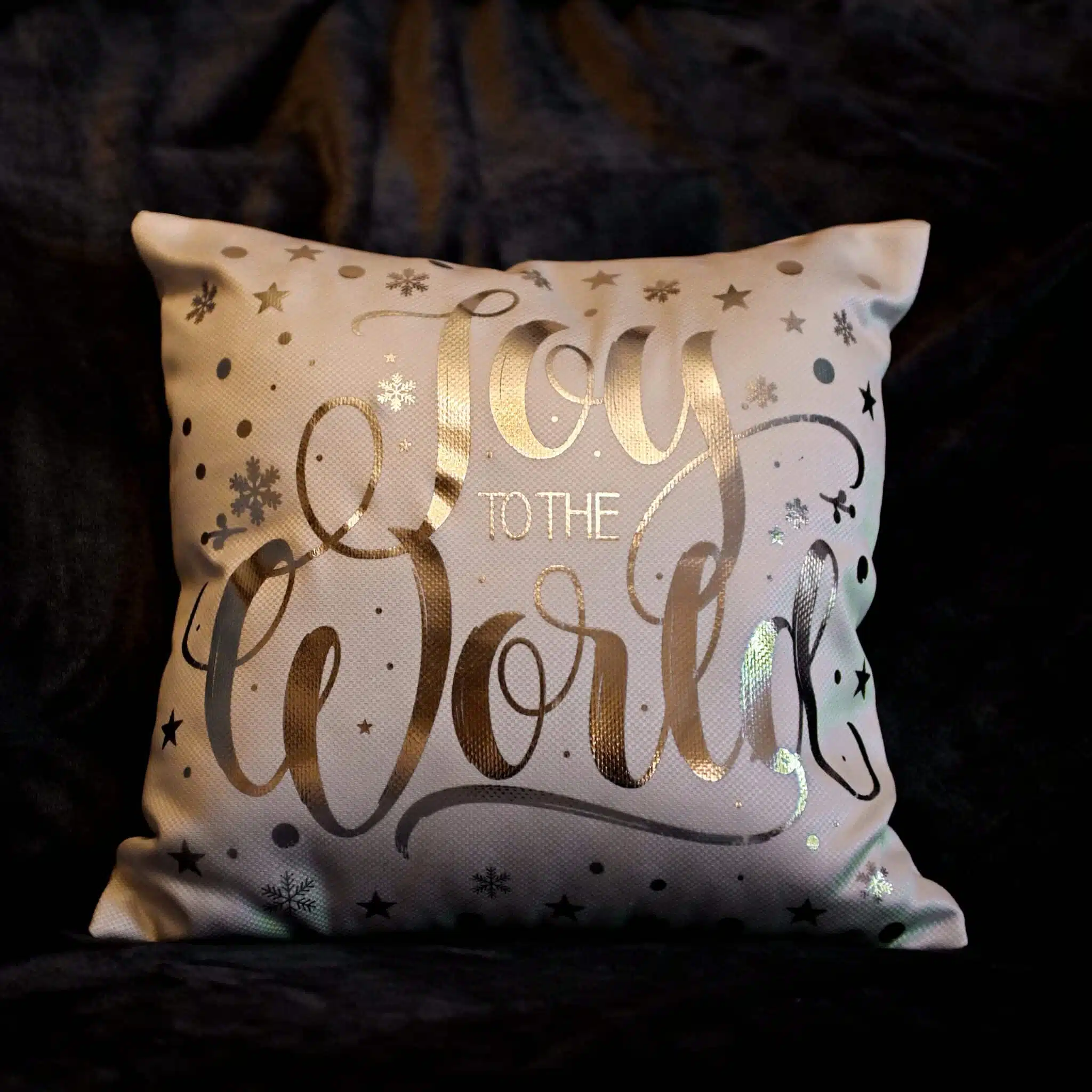 Cushion Joy to the world silver 3 MAS 0598 scaled