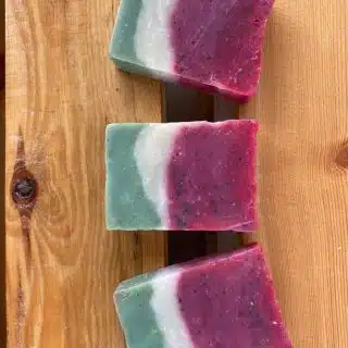 Watermelon Chia Seeds Bars