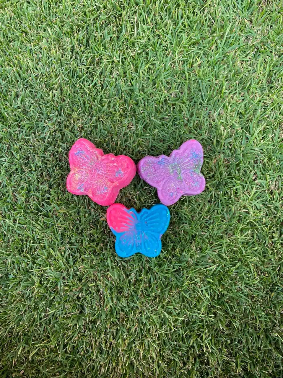 The butterfly 2 PHOTO 2021 08 01 18 31 10 1