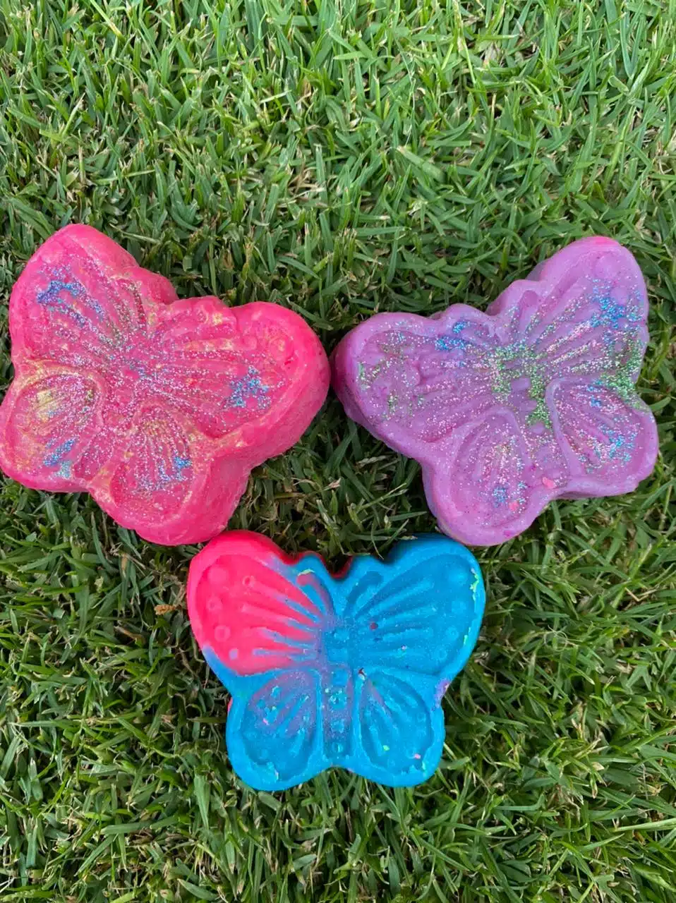 The butterfly 1 The butterfly