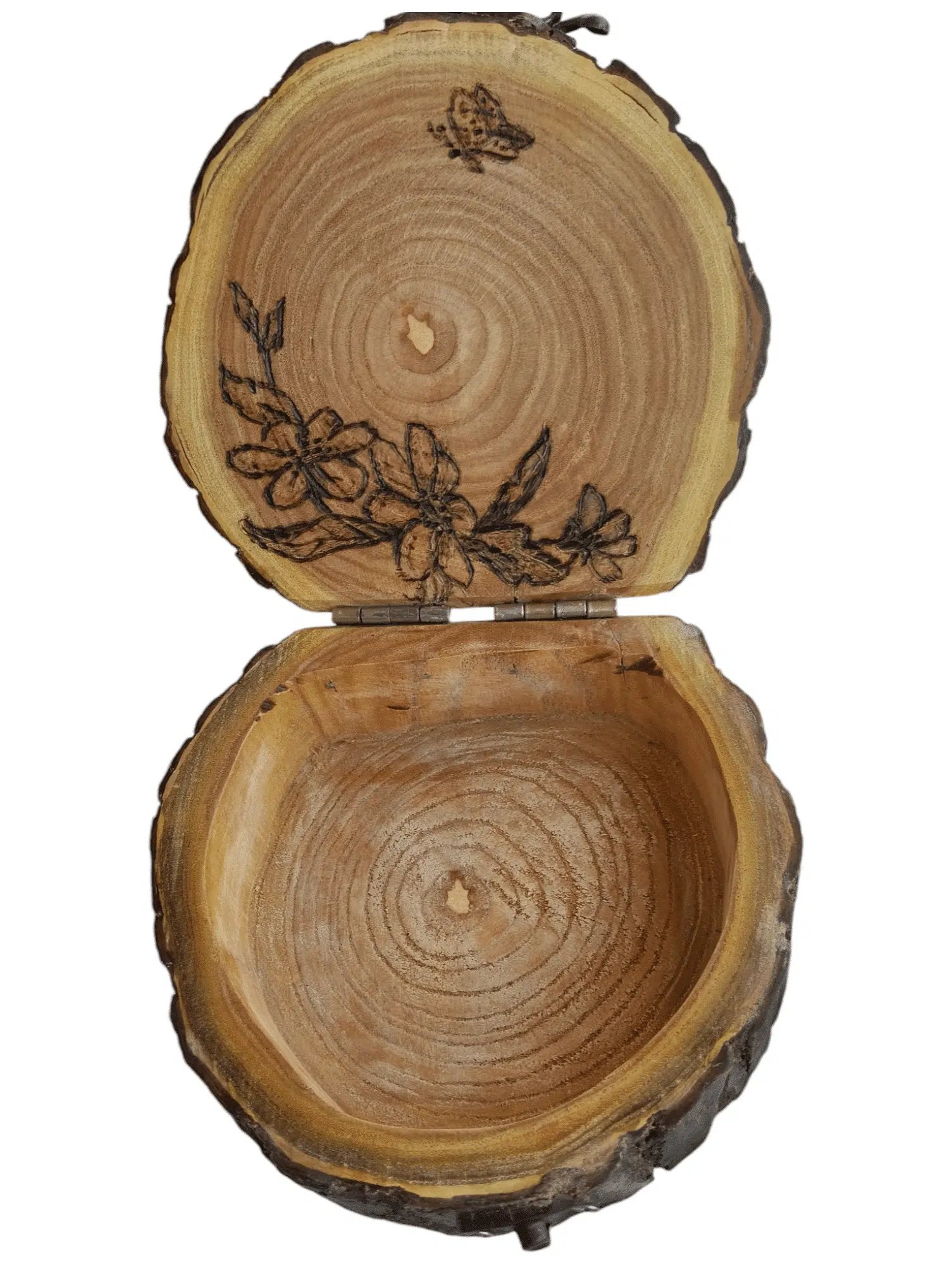 Flower box 2 Photoroom 20241005 162938