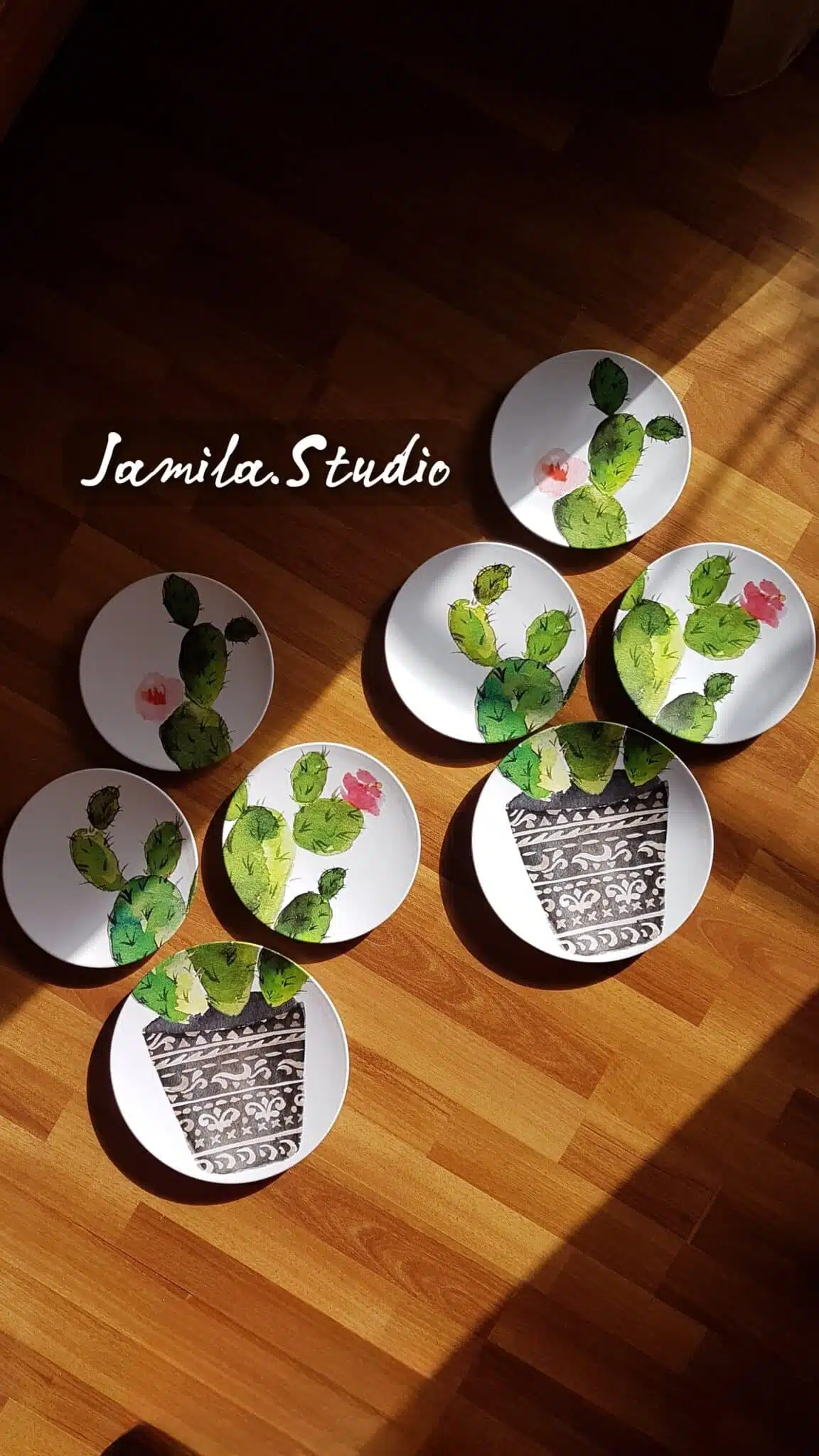 Jamila's Cuctus Pot 1 Jamila's Cuctus Pot