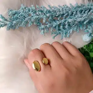 Double circle ring