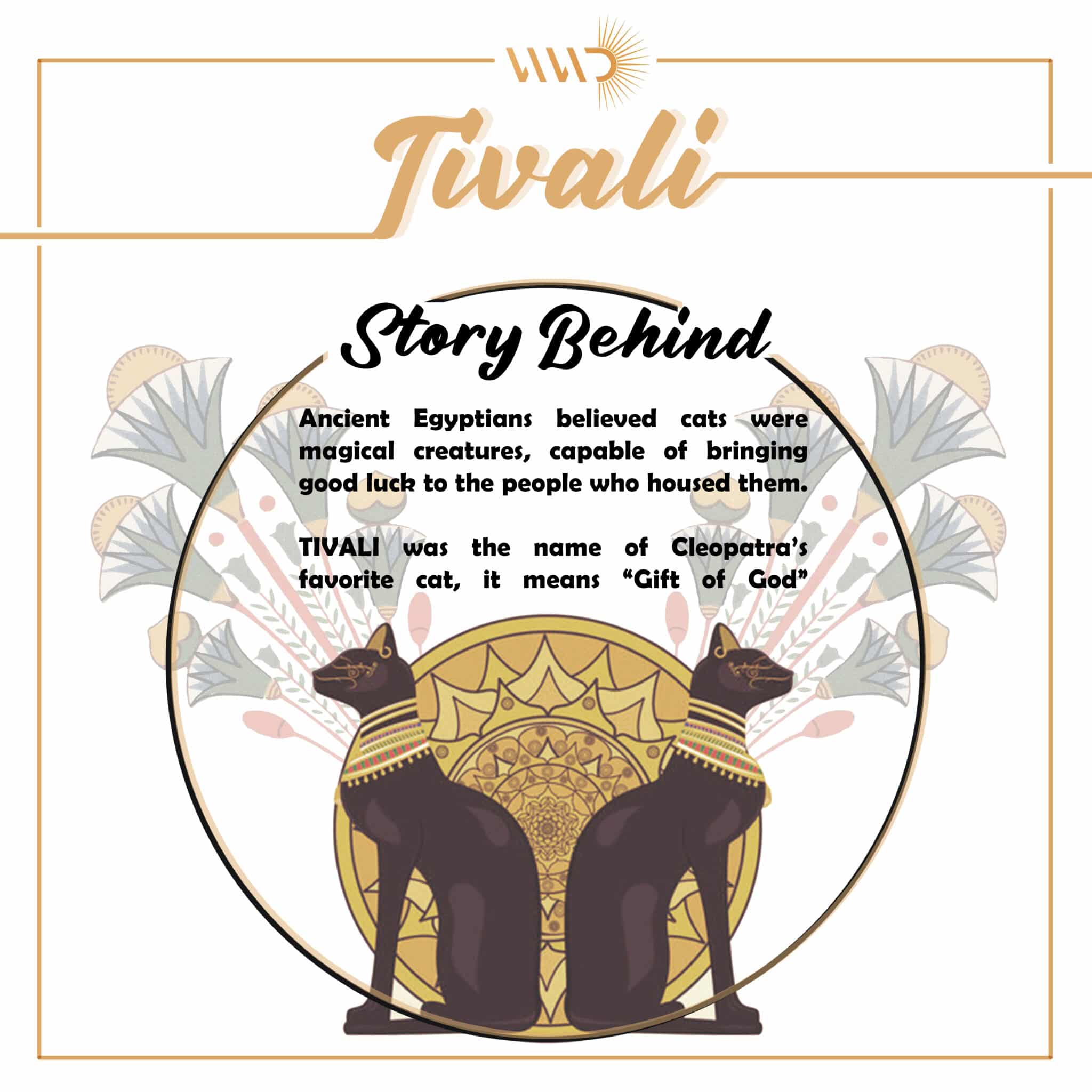 TIVALI 2 TIVALI STORY BEHIND scaled