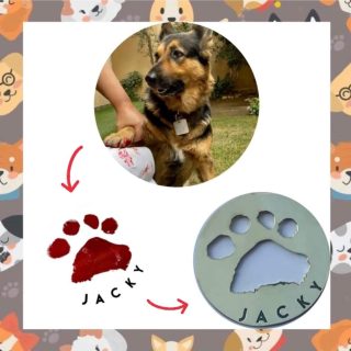 Customized Pets Footprint Collar/Keychain/Bracelet/Necklace