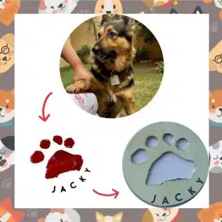 Customized Pets Footprint Collar/Keychain/Bracelet/Necklace