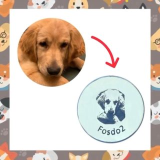 Customized Pet Photo Collar/Keychain/Bracelet/Necklace