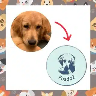 Customized Pet Photo Collar/Keychain/Bracelet/Necklace