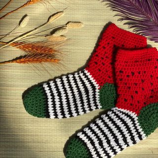 Watermelon socks