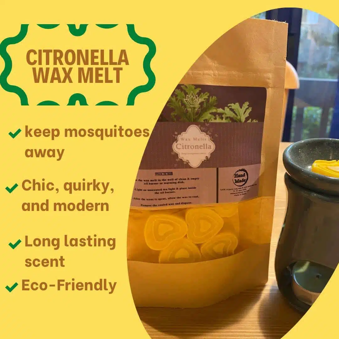 Citronella Wax melts 1 Citronella Wax melts