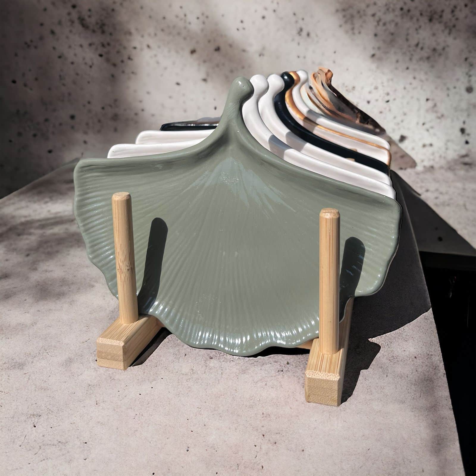 Fan coaster 3 WhatsApp Image 2024 05 02 at 6.07.10 PM 6