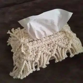 macramé Tissue Cover Holder