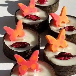 Set of 6 Butterfly candles