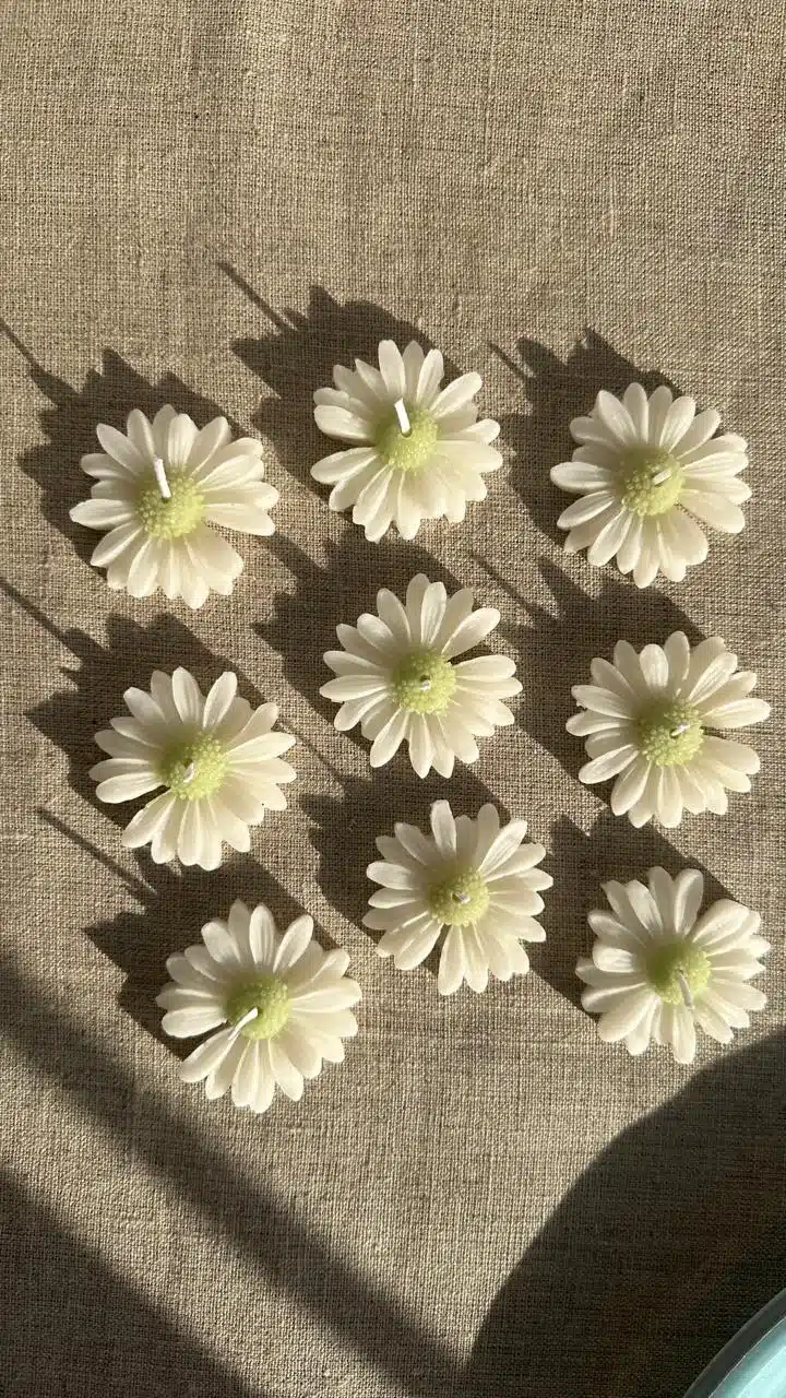 20 Daisy flowers mini favours 2 WhatsApp Image 2024 11 04 at 10.18.16 PM 1