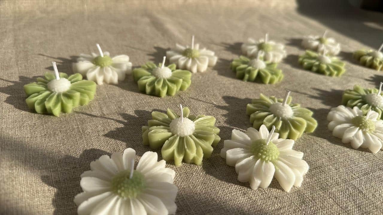20 Daisy flowers mini favours 4 WhatsApp Image 2024 11 04 at 10.18.16 PM 2