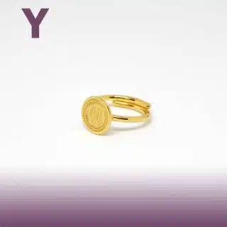 حرف هيروغليفي - Y