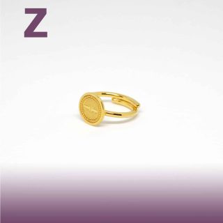 حرف هيروغليفي - Z