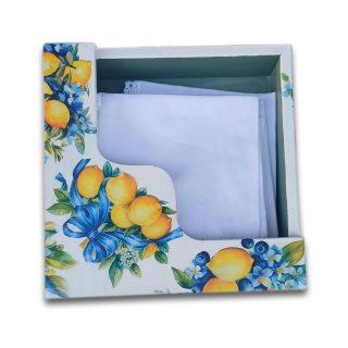 Decoupage Tissue Box 20*20
