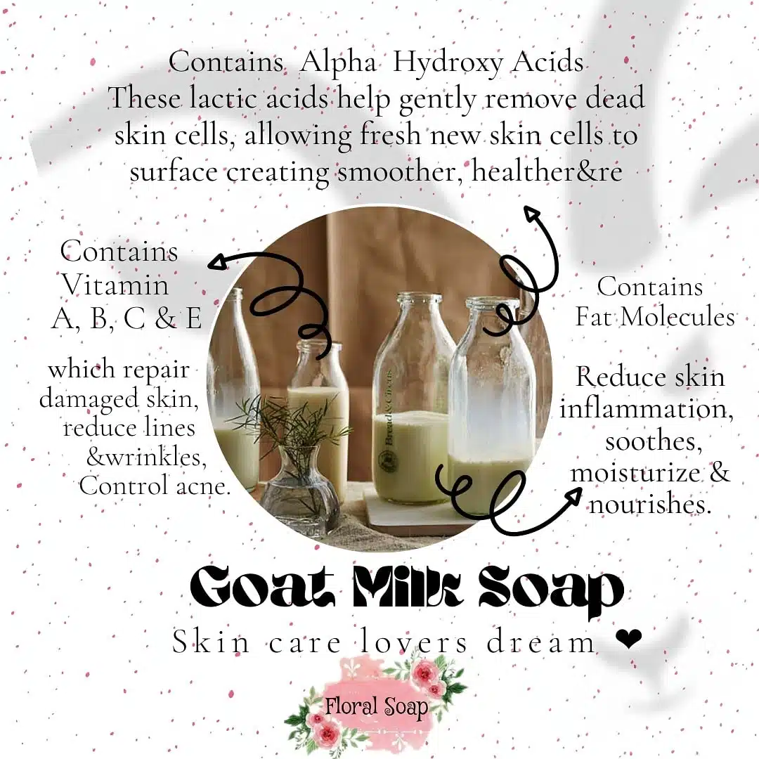 Happy Mama and Papa Sheep Soap 6 dc58a107 cd2c 42e9 bd31 553345e7ece5