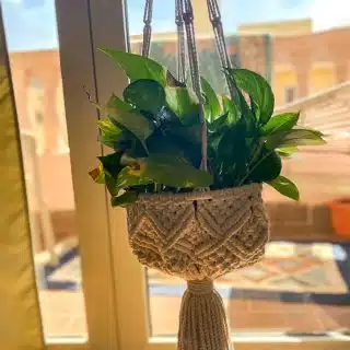 macrame plant hanger
