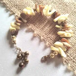 انسيال من الصدف الملون