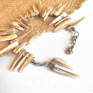 انسيال. من الصدف