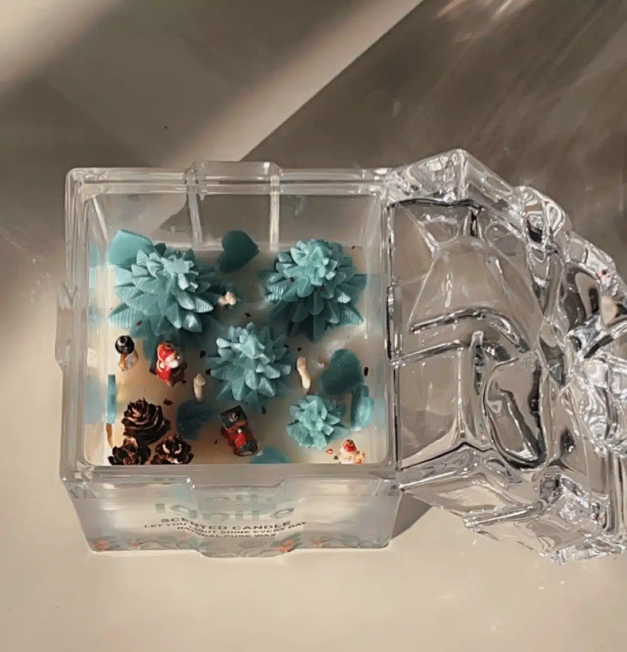 Land of tree 4 IMG 9500