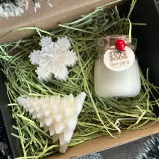 Winter Whimsy Box