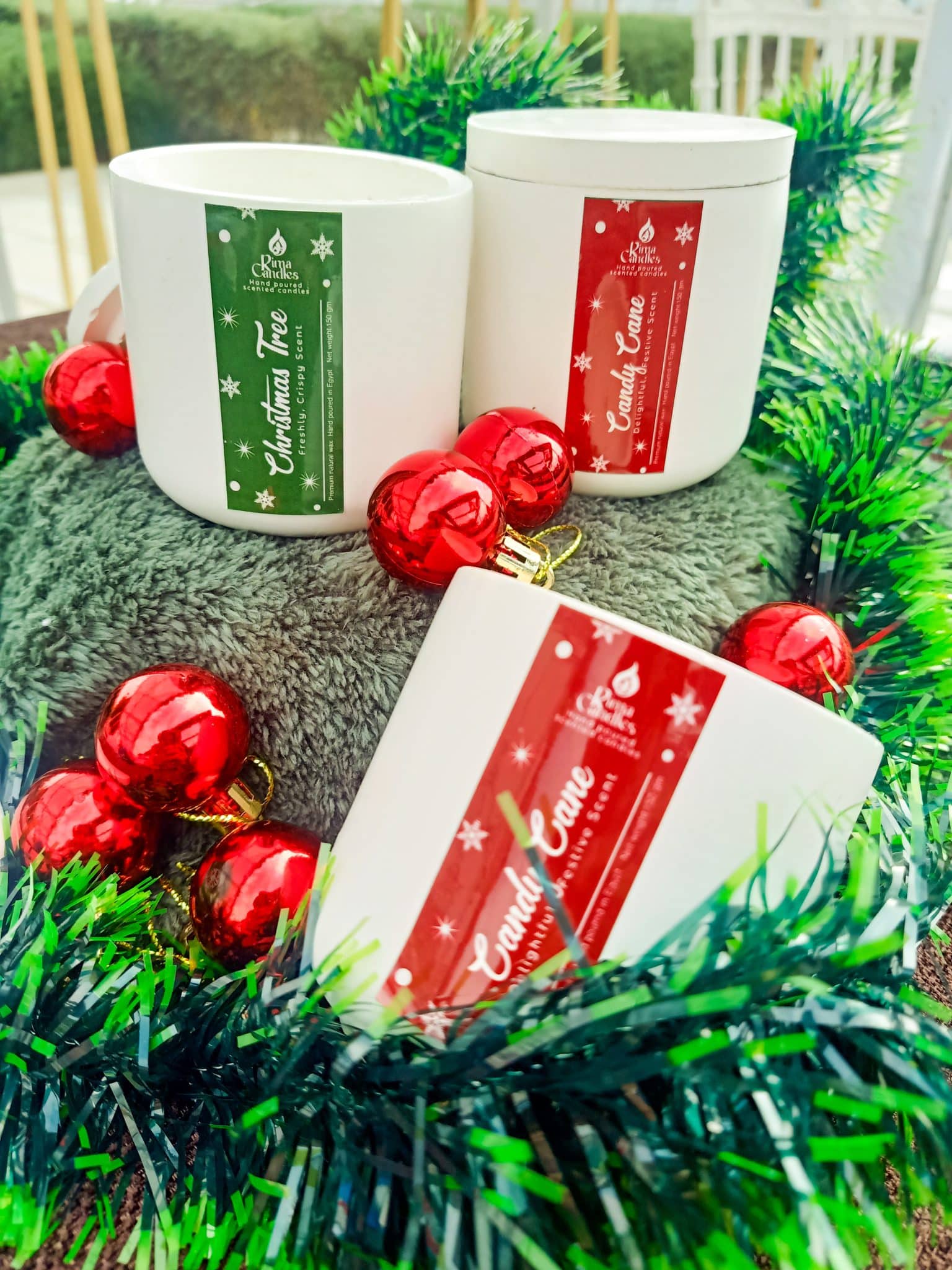 Candy Cane 1 Candy Cane