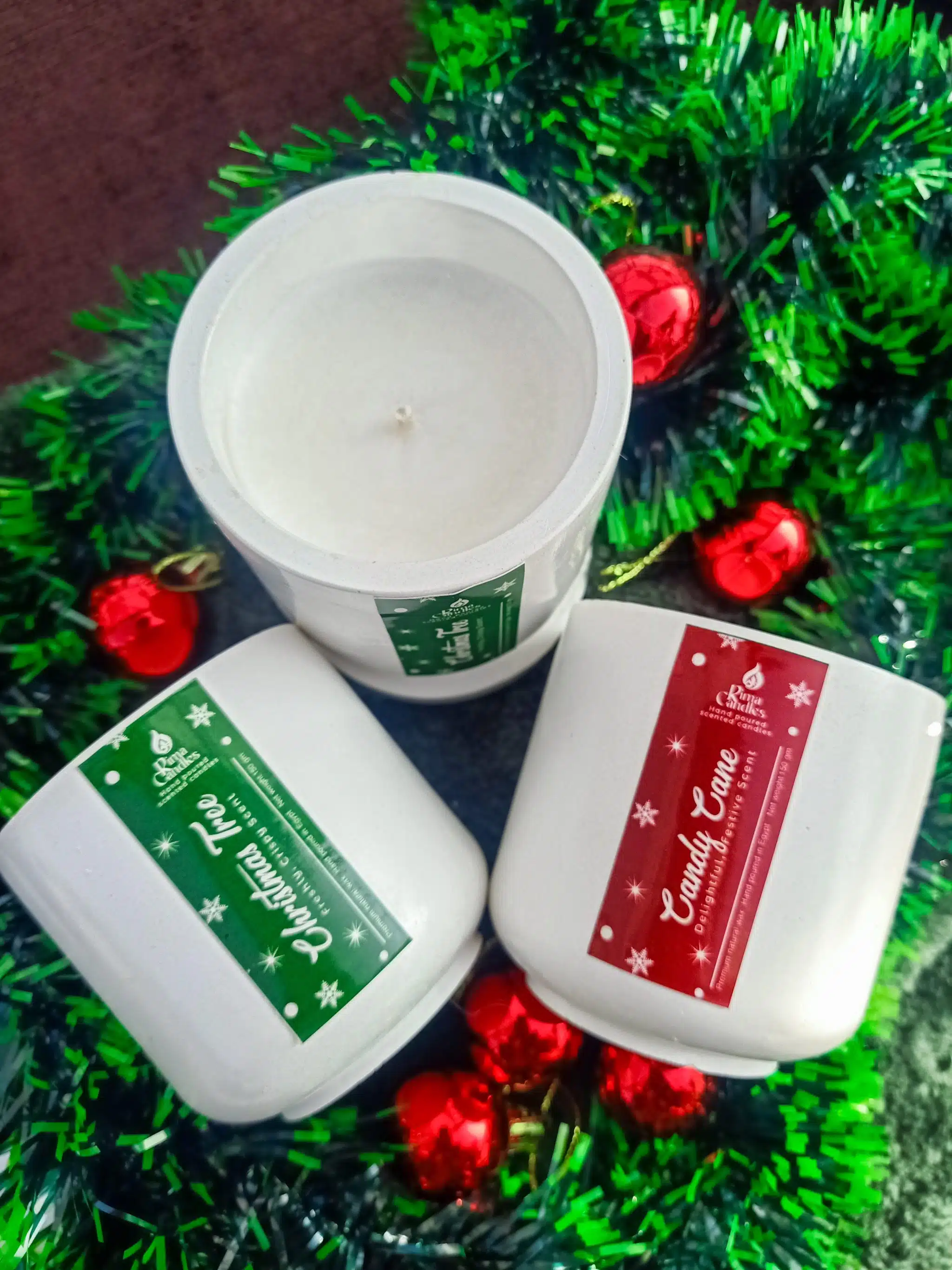 Candy Cane 2 IMG20241206091247 scaled