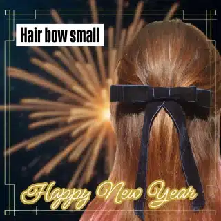 Small hair bow clips