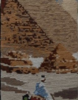 Journey through the Desert Tapestry