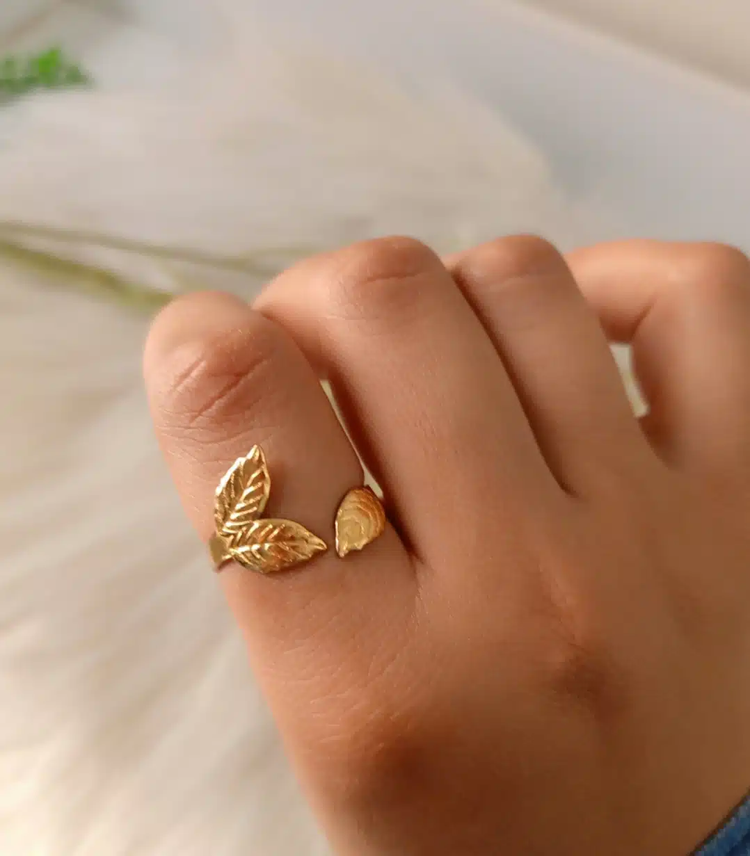 π±π± ring 1 π±π± ring