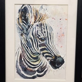 Zebra