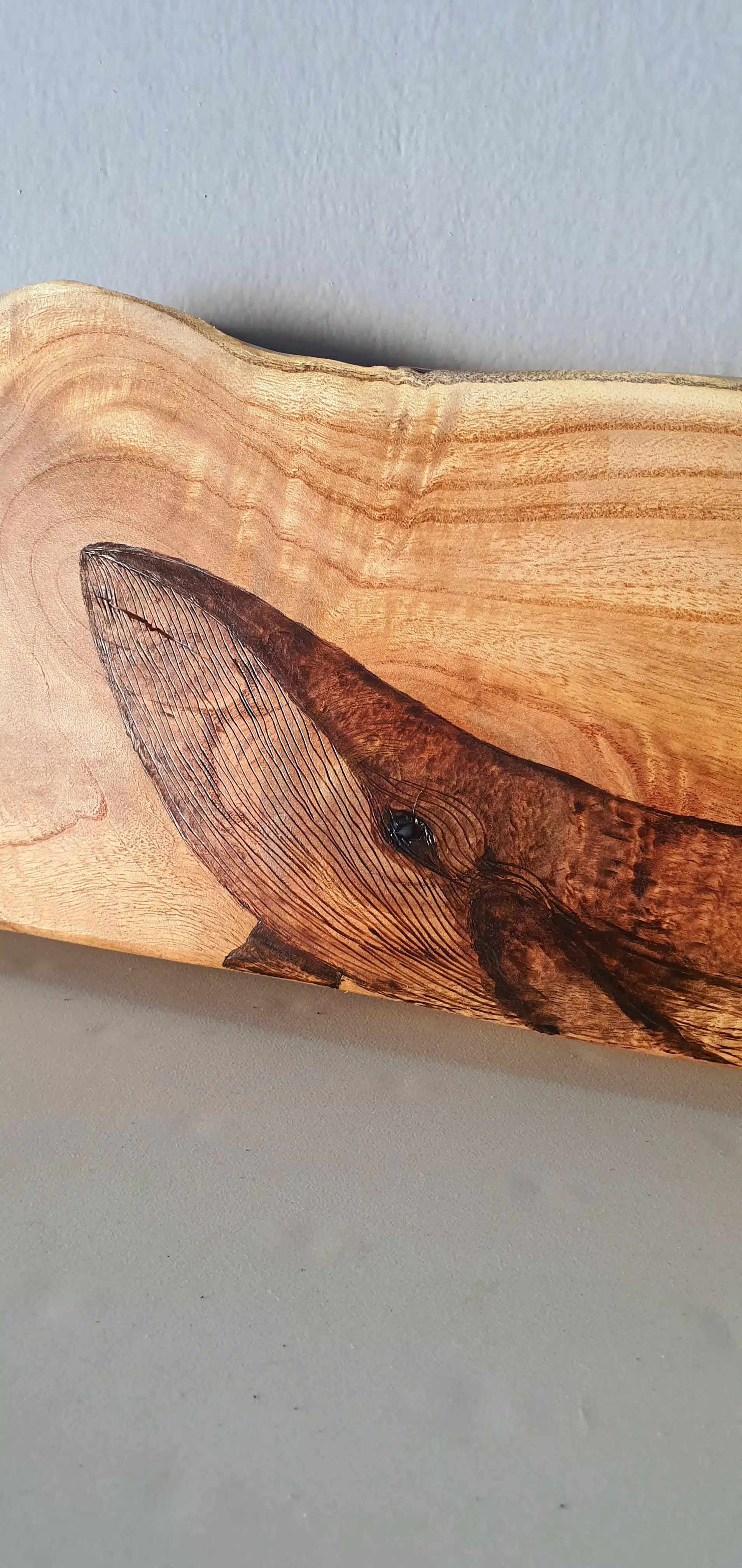 Baby Whale - Tree Slice 3 خشب حوت